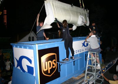 Georgia Aquarium transports two beluga whales from Mexico who were languishing in a pool under a roller coaster.