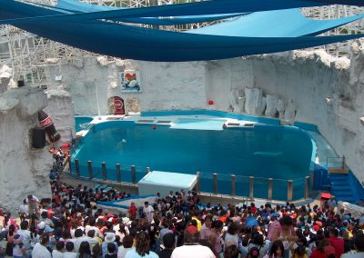A pool in Mexico where two beluga whales were being held under a roller coaster. Georgia Aquarium relocated these whales to Atlanta, one of which was in very poor health.